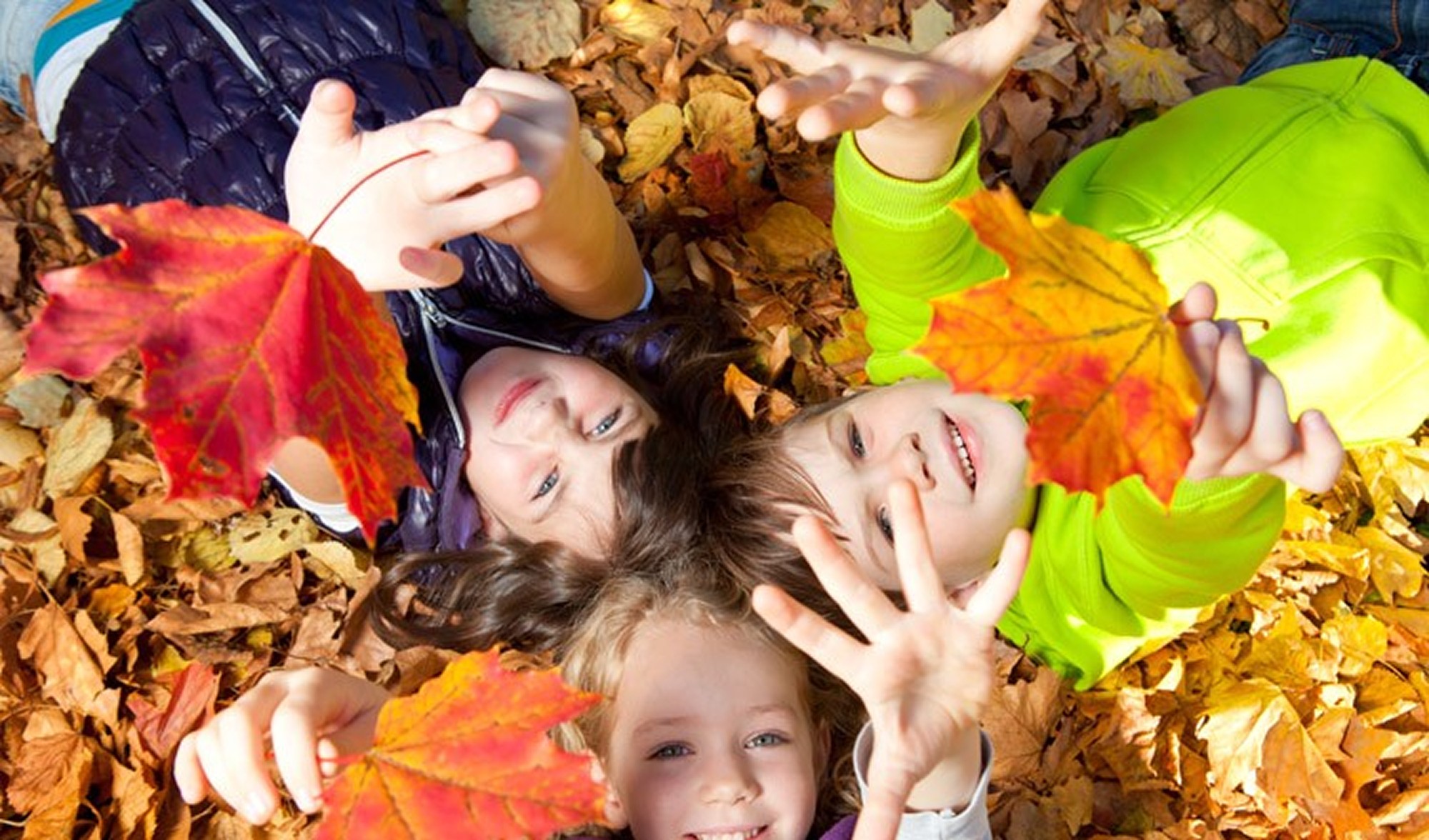 kids, play, leaves, fall